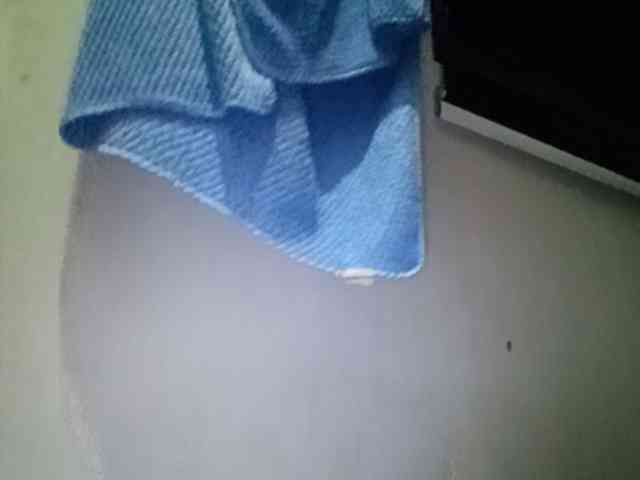 Smithsophie webcam