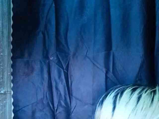 Smithsophie webcam