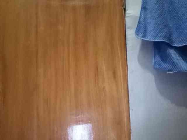 Smithsophie webcam