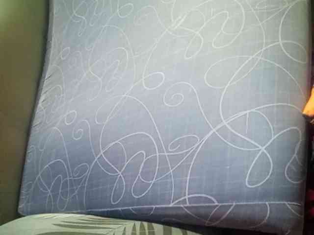 Smithsophie webcam