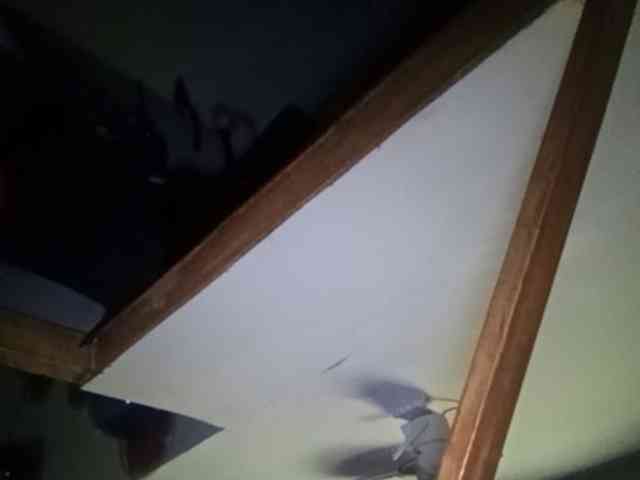 Smithsophie webcam
