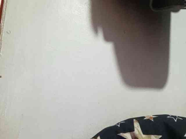Pempemliciouss