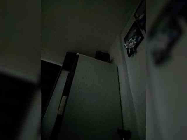 Smithsophie webcam