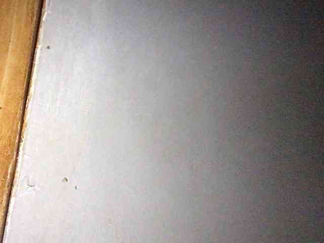 Smithsophie webcam