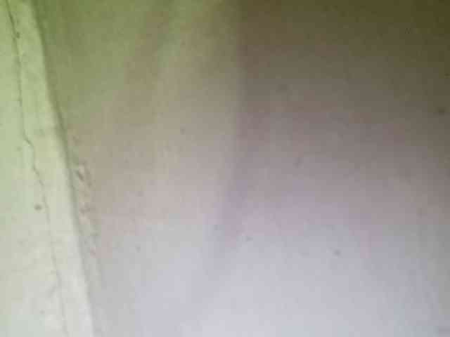 Smithsophie webcam