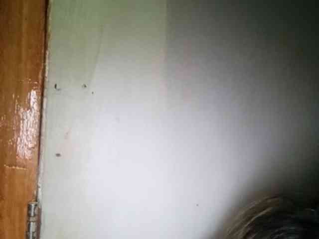 Pempemliciouss Pempemliciouss