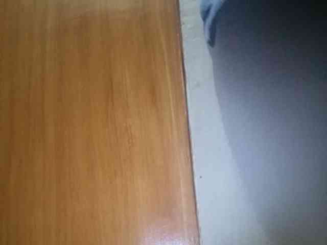 Smithsophie webcam