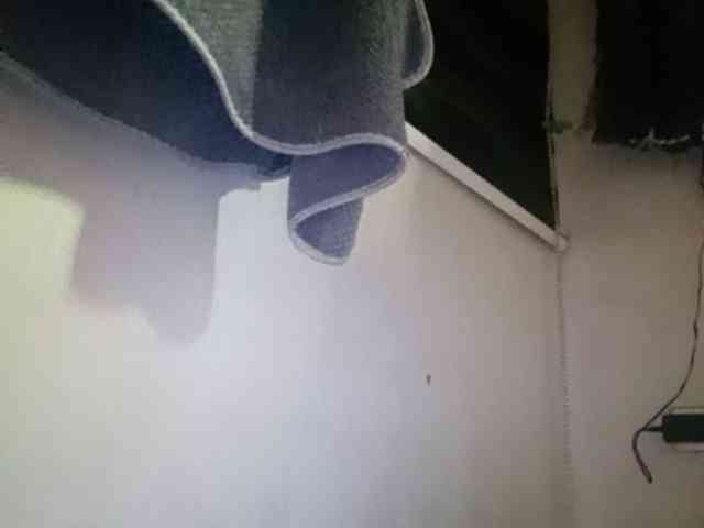 Smithsophie webcam