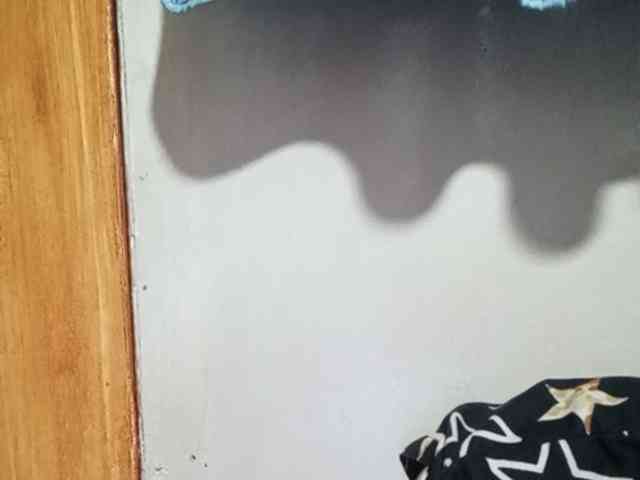 Smithsophie webcam