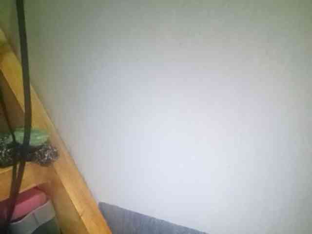 Pempemliciouss Pempemliciouss