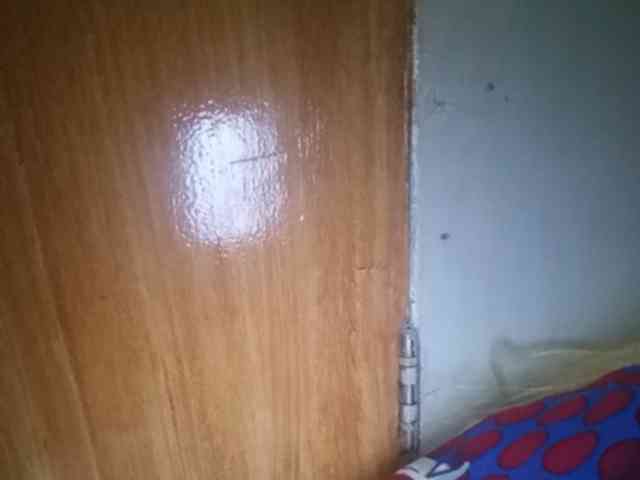 Smithsophie webcam
