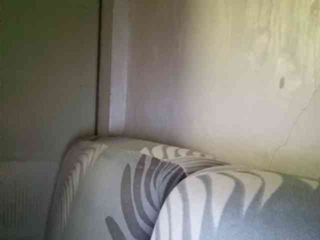 Smithsophie webcam
