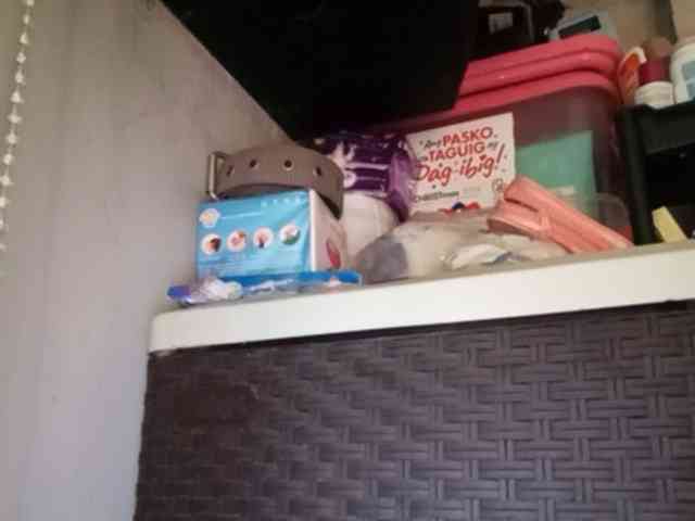 Smithsophie webcam