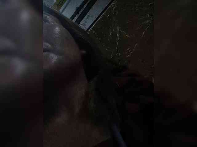 Pempemliciouss
