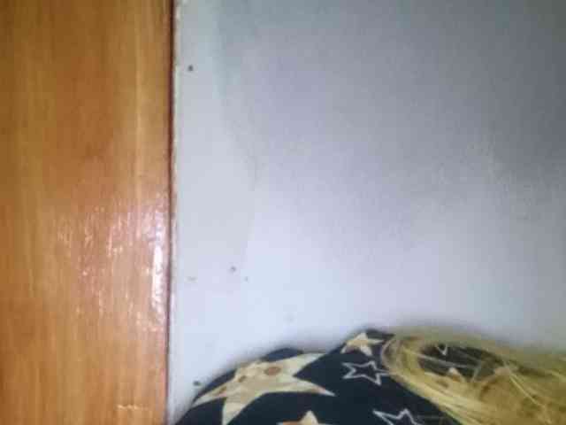 Smithsophie webcam
