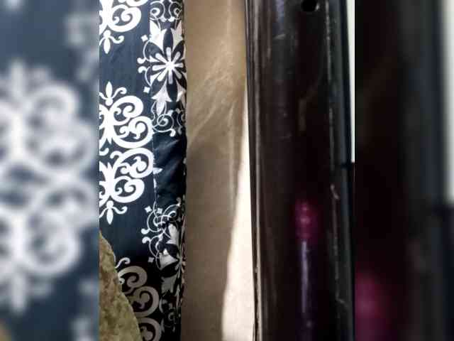 Smithsophie webcam