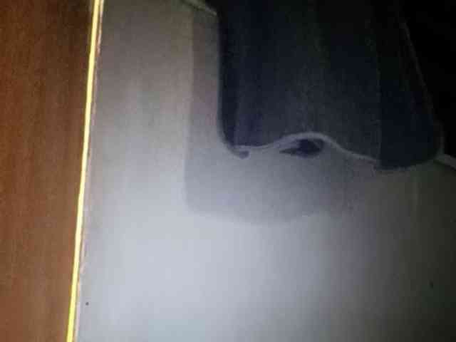 Smithsophie webcam