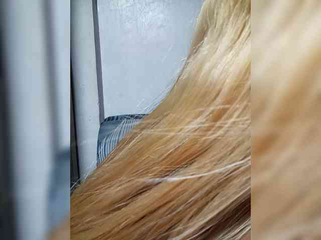 Smithsophie webcam