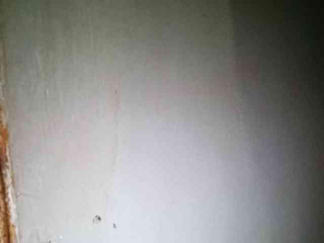 Smithsophie webcam