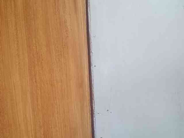 Smithsophie webcam