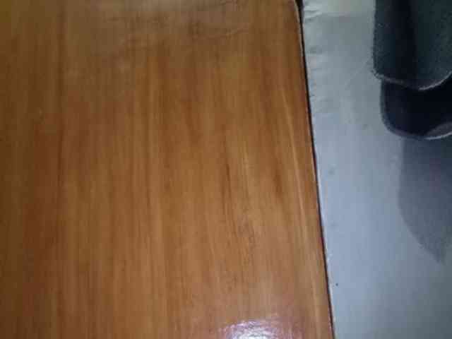 Smithsophie webcam