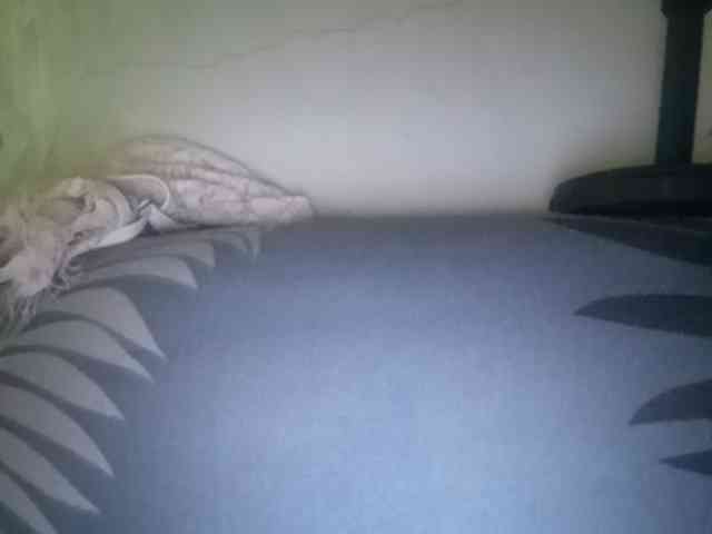 Smithsophie webcam