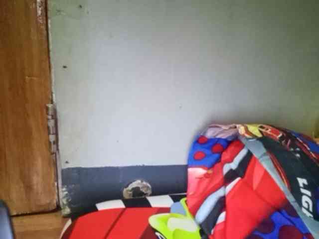 Smithsophie webcam