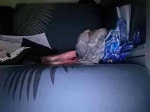 Smithsophie webcam