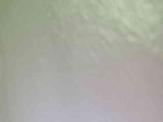 Smithsophie webcam