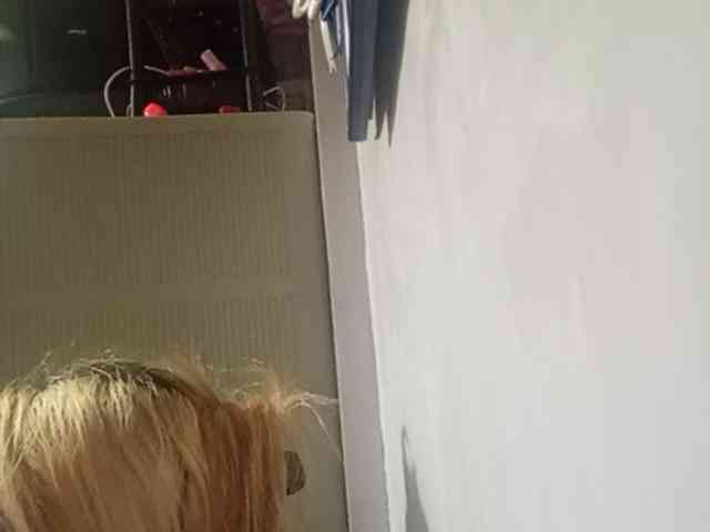 Smithsophie webcam