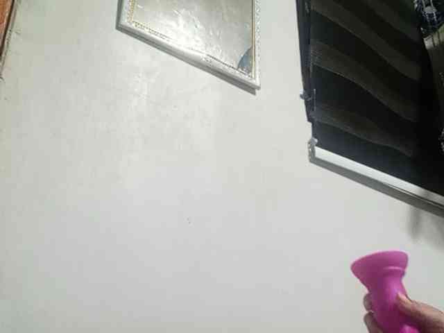 Smithsophie webcam