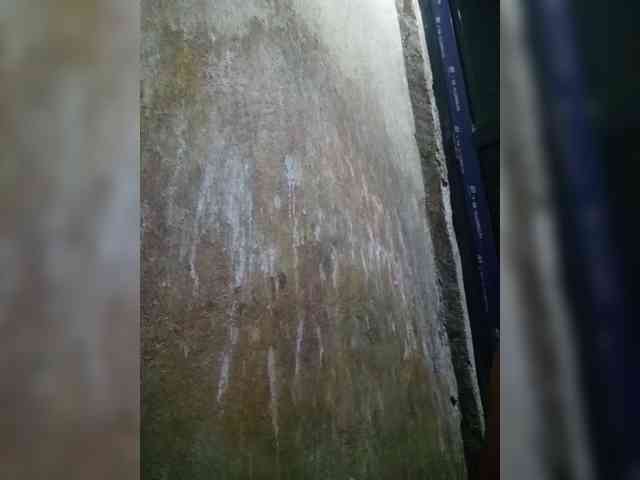 Pempemliciouss