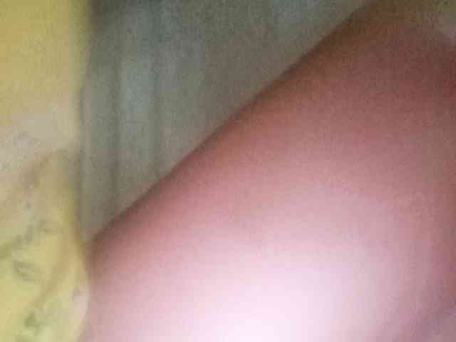 Smithsophie webcam