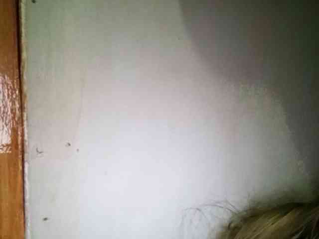 Pempemliciouss