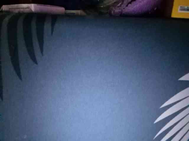 Smithsophie webcam