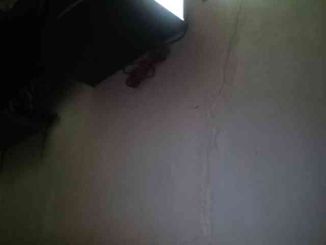 Smithsophie webcam