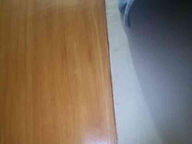 Smithsophie webcam