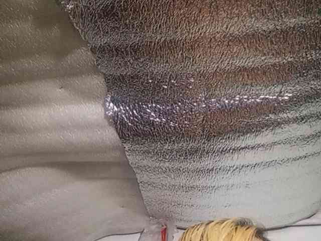 Smithsophie webcam
