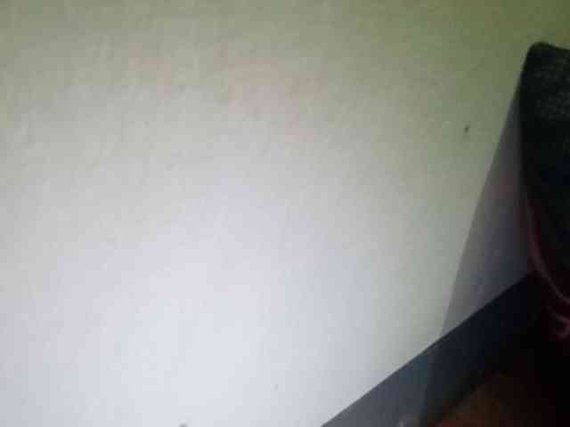 Smithsophie webcam