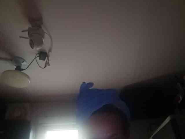 Smithsophie webcam