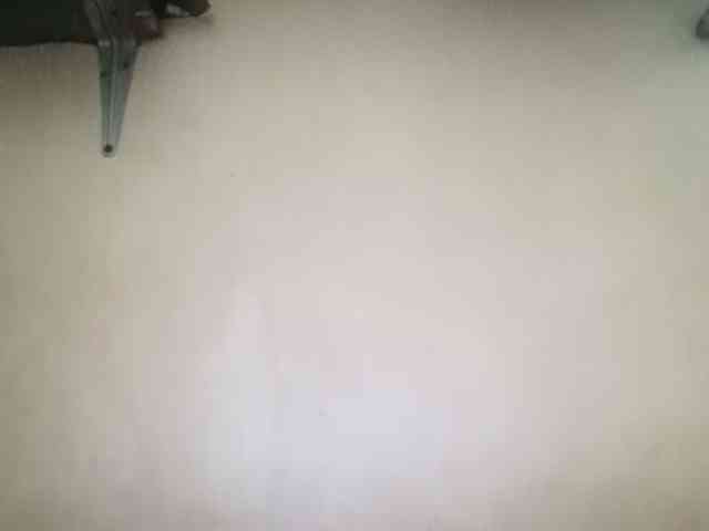 Smithsophie webcam