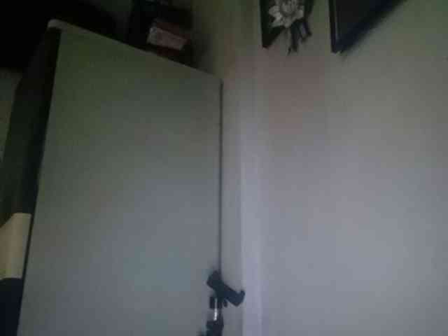 Smithsophie webcam