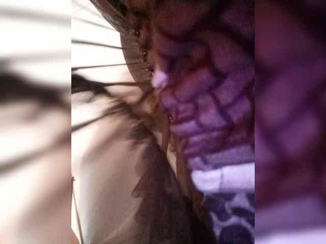Pempemliciouss