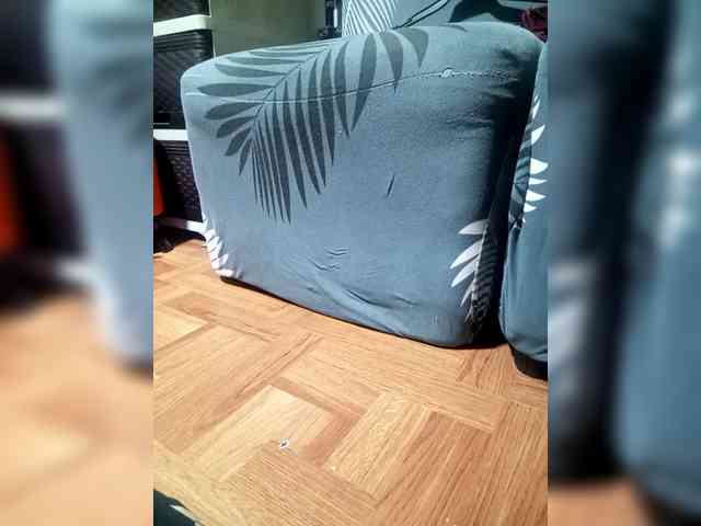 Smithsophie webcam