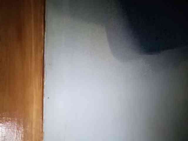 Smithsophie webcam