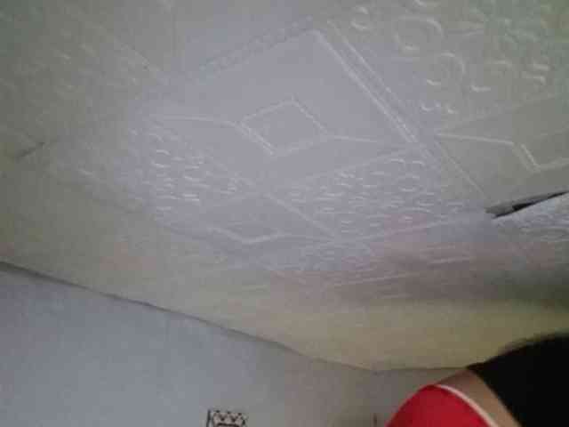 Smithsophie webcam