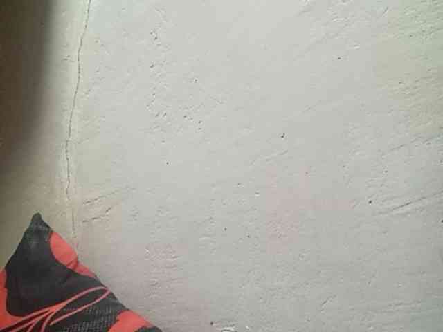 Smithsophie webcam