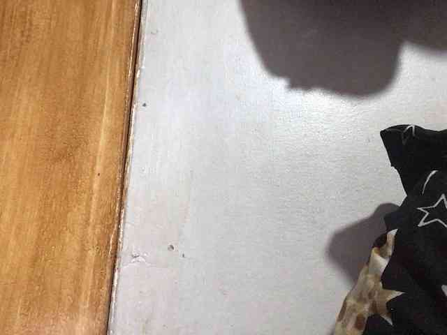 Smithsophie webcam