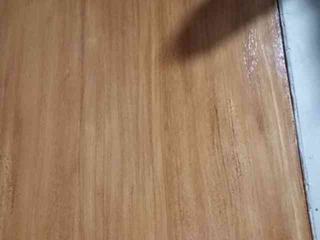 Smithsophie webcam