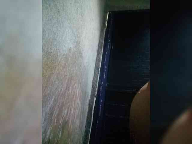 Smithsophie webcam